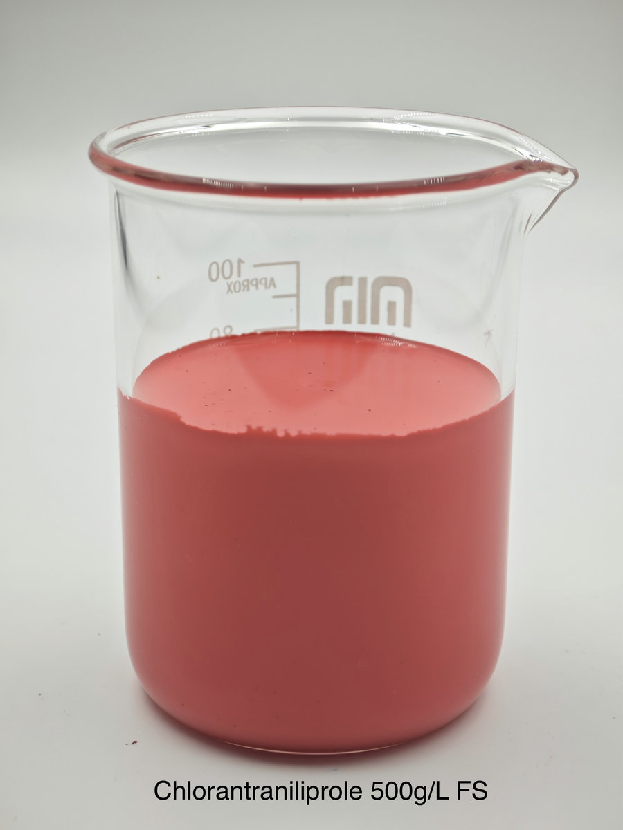 Chlorantraniliprole 500g/L FS