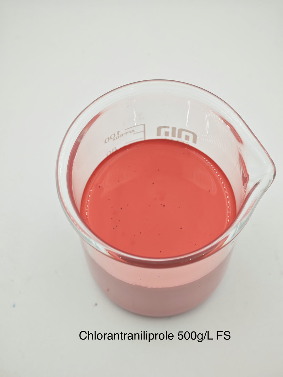 Chlorantraniliprole 500g/L FS