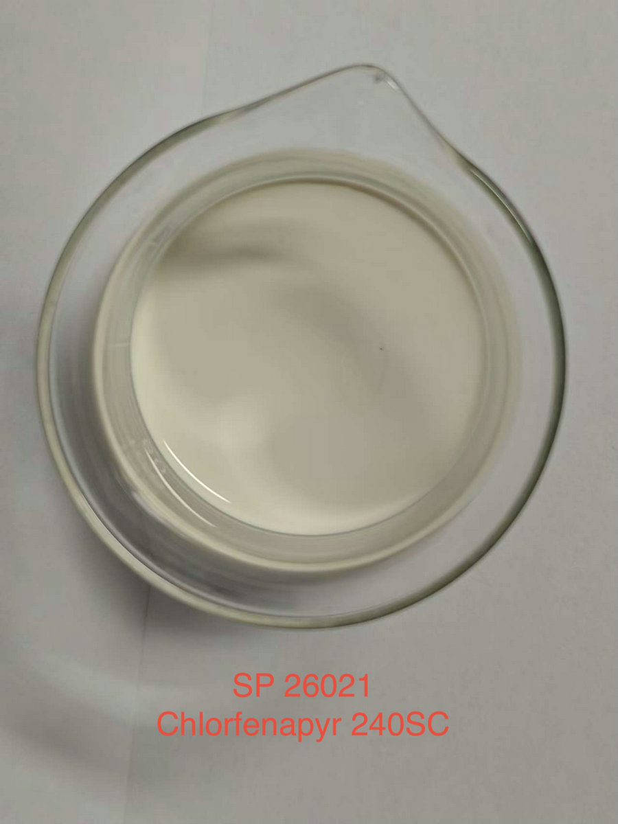 Chlorfenapyr 240g/L SC