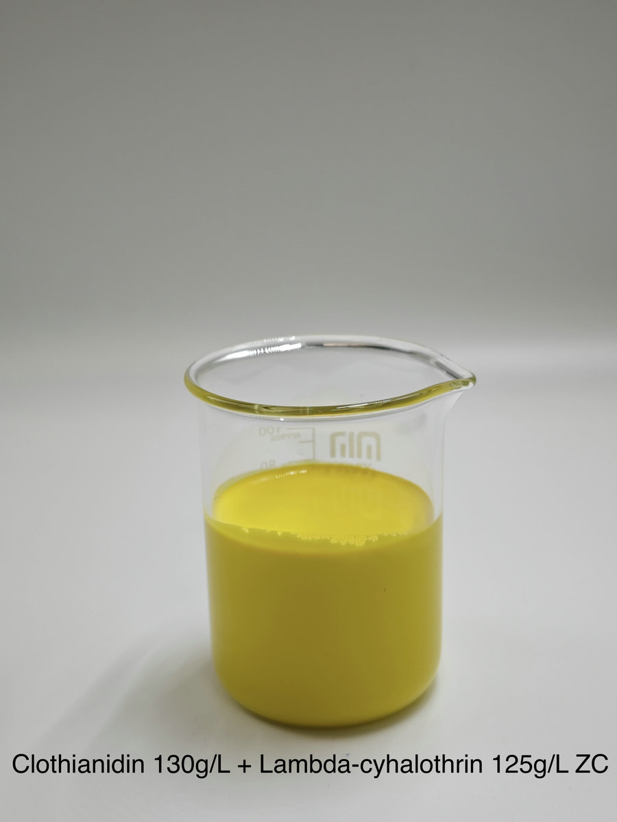 Clothianidin 130g/L + Lambda-cyhalothrin 125g/L ZC