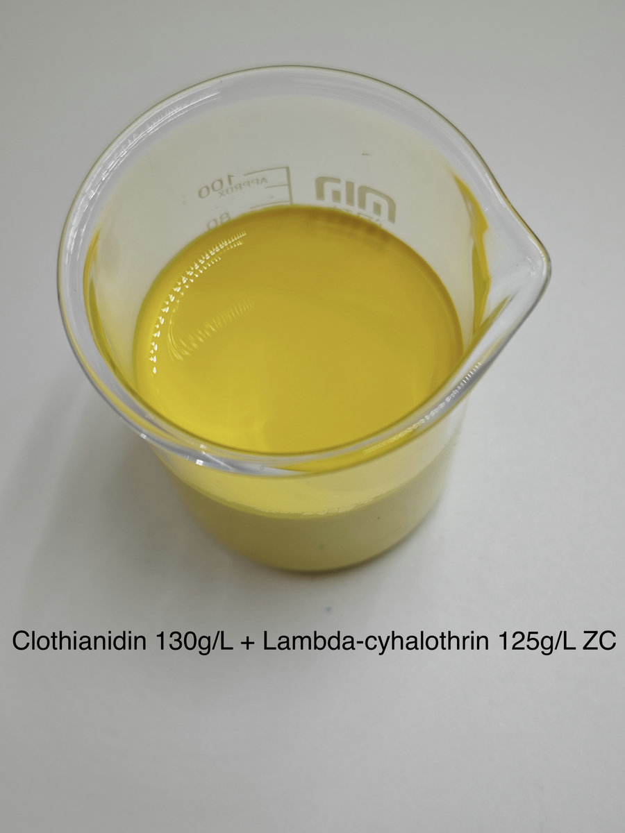 Clothianidin 130g/L + Lambda-cyhalothrin 125g/L ZC