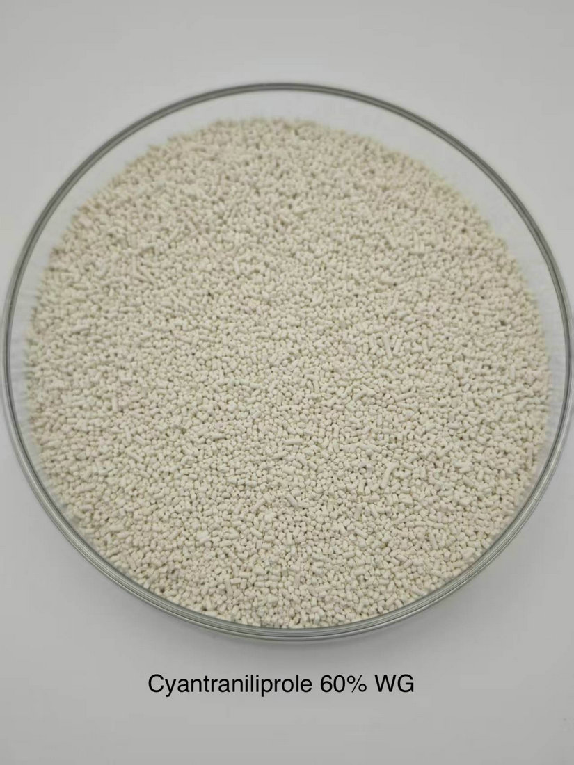 Cyantraniliprole 60% WG
