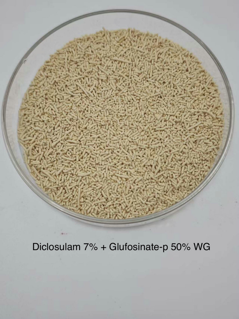 Diclosulam 7% + Glufosinate-p 50% WG