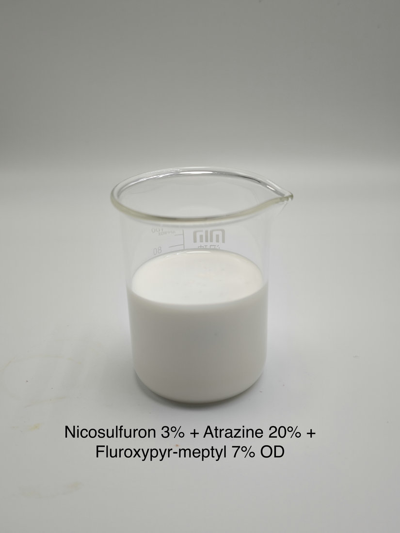 Nicosulfuron 3% + Atrazine 20% + Fluroxypyr-meptyl 7% OD