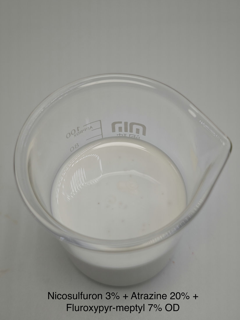 Nicosulfuron 3% + Atrazine 20% + Fluroxypyr-meptyl 7% OD