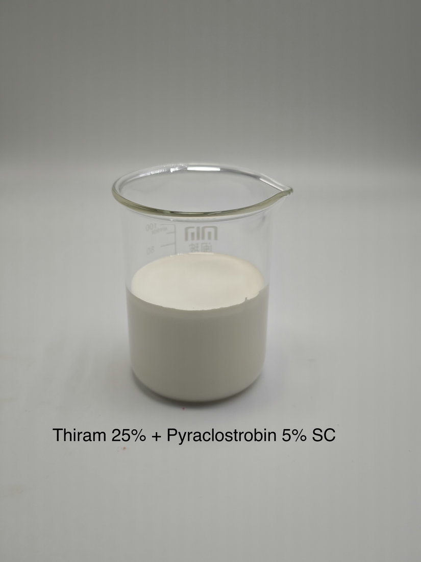 Thiram 25% + Pyraclostrobin 5% SC