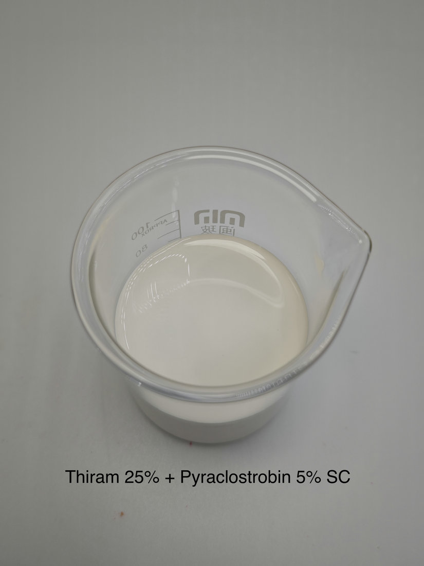 Thiram 25% + Pyraclostrobin 5% SC