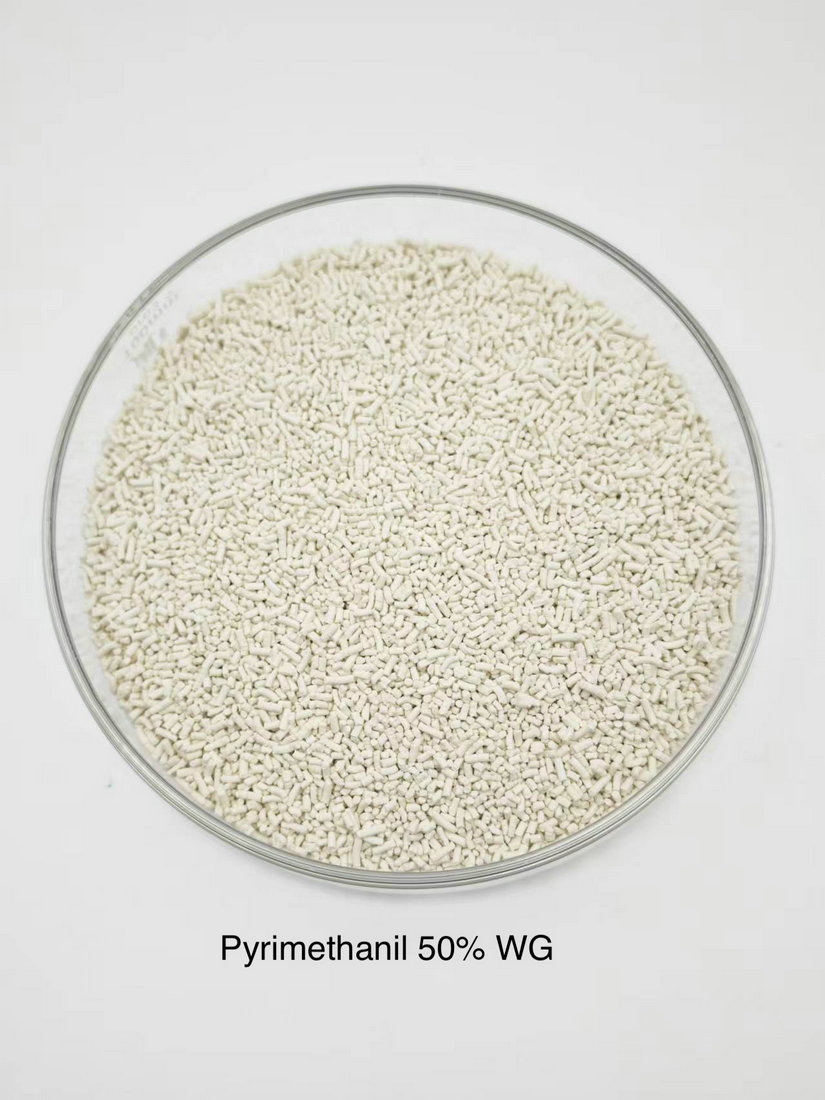 Pyrimethanil 50% WG