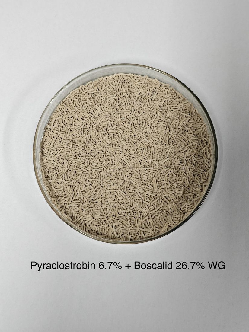 Pyraclostrobin 6.7% + Boscalid 26.7% WG