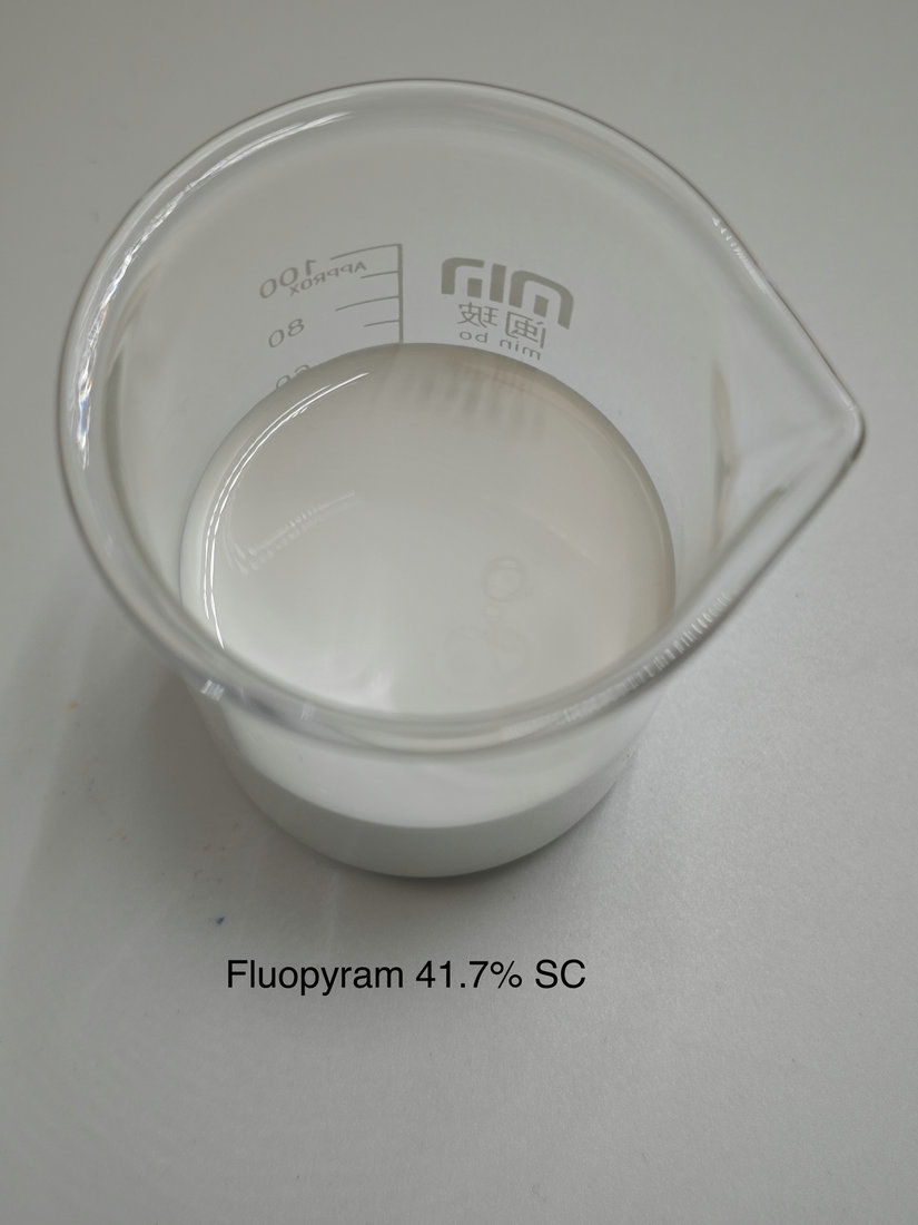 Fluopyram 41.7% SC