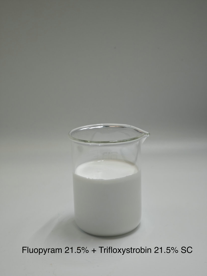 Fluopyram 21.5% + Trifloxystrobin 21.5% SC