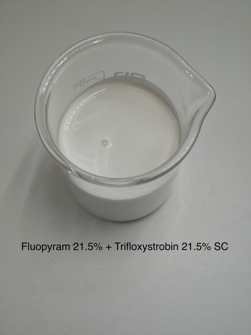 Fluopyram 21.5% + Trifloxystrobin 21.5% SC