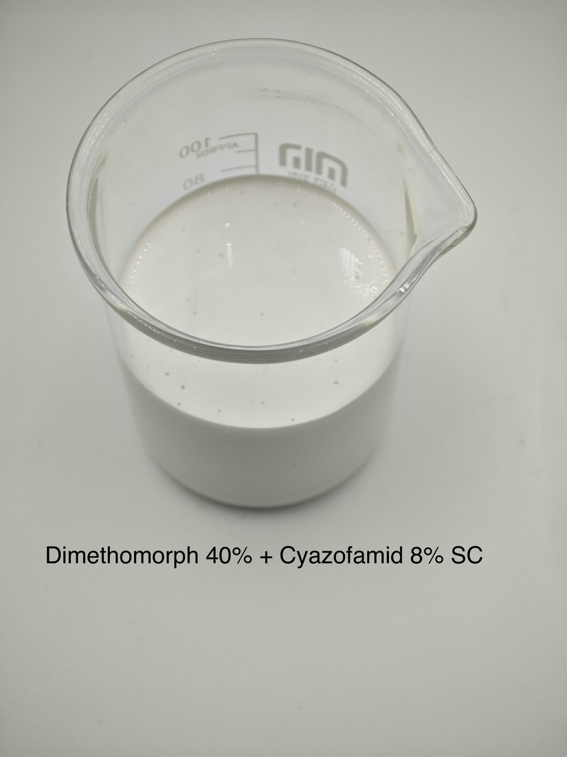 Dimethomorph 40% + Cyazofamid 8% SC