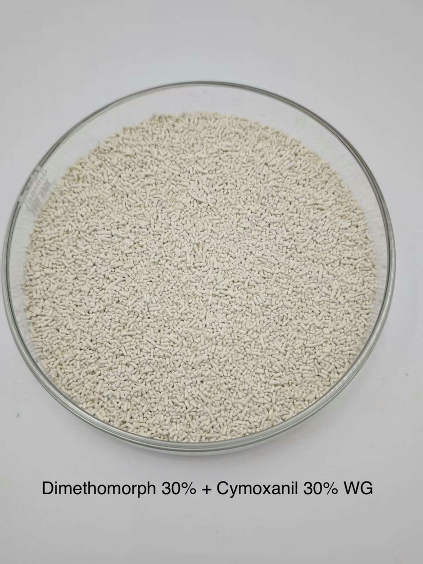 Dimethomorph 30% + Cymoxanil 30% WG