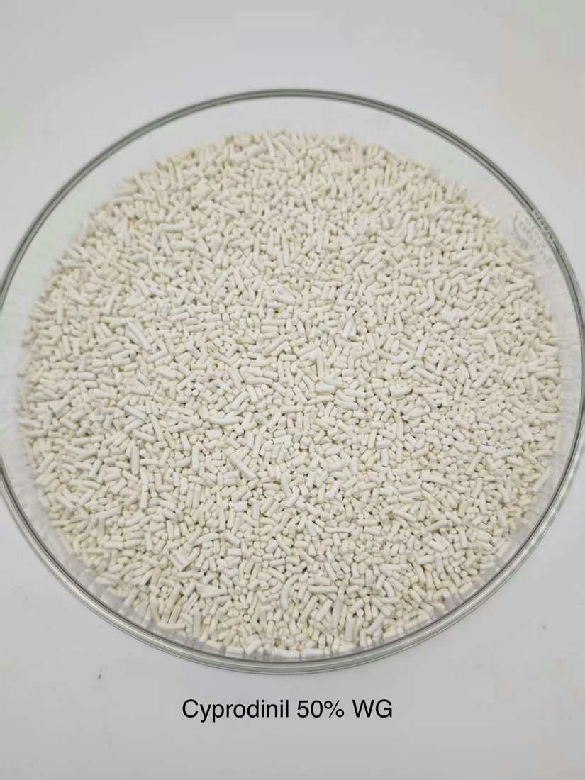 Cyprodinil 50% WG