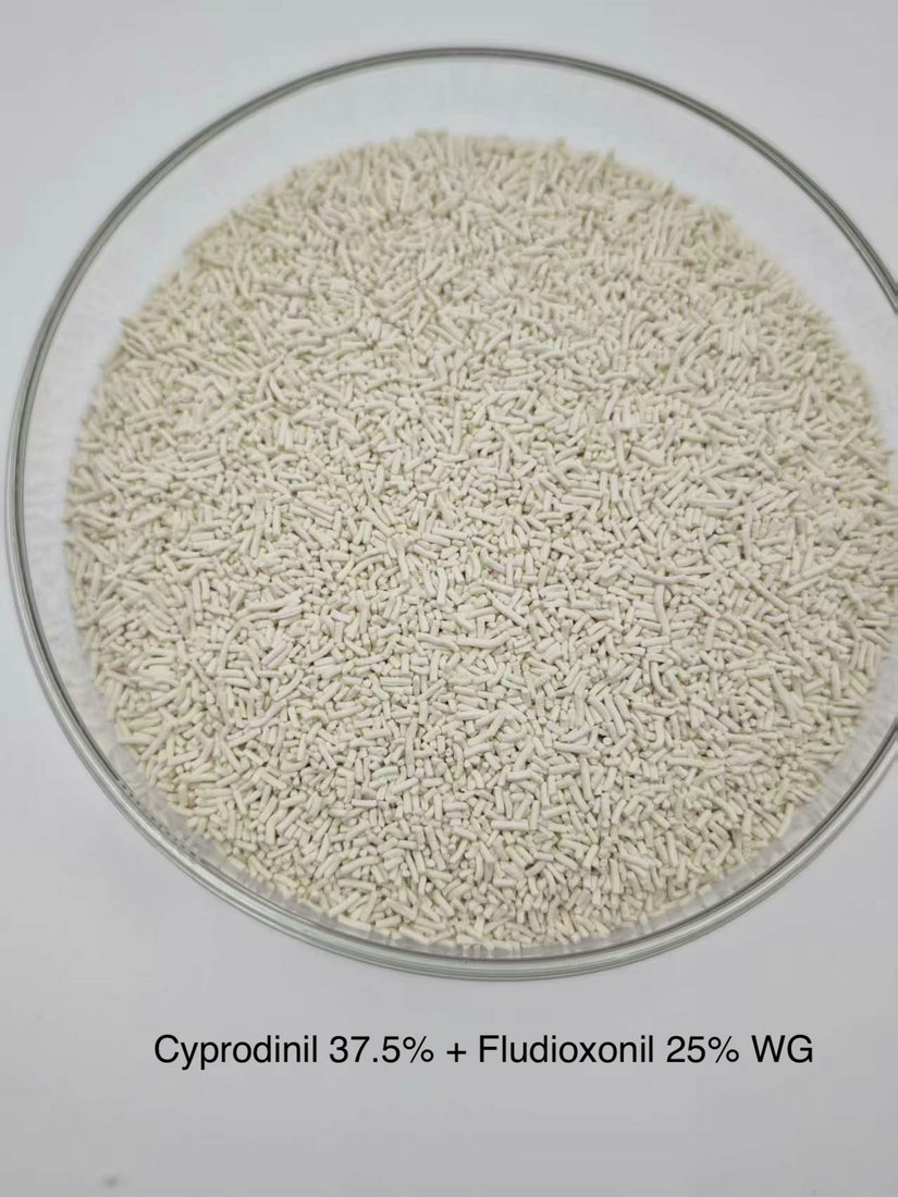Cyprodinil 37.5% + Fludioxonil 25% WG