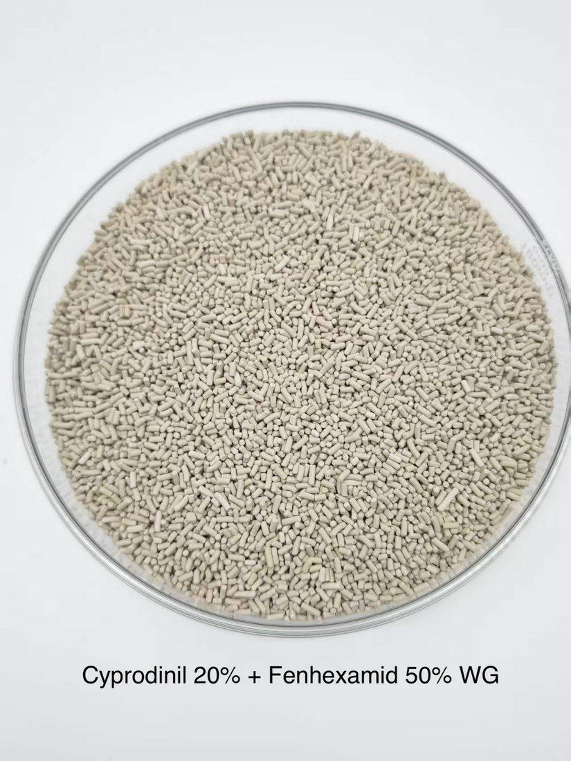 Cyprodinil 20% + Fenhexamid 50% WG
