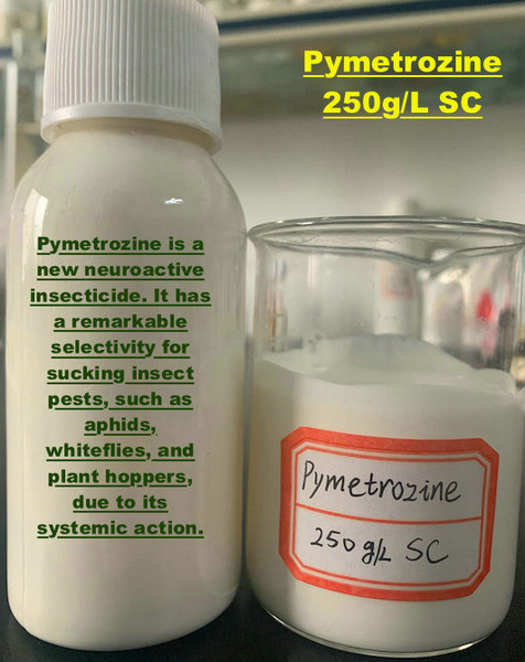 Pymetrozine 250g/L SC
