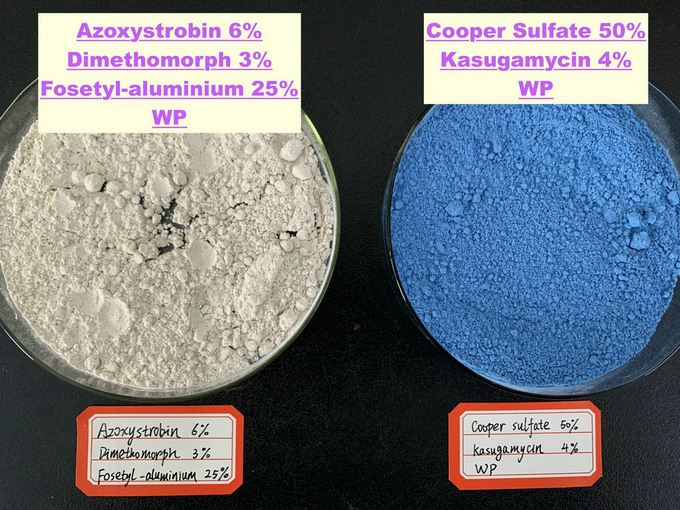 Azoxystrobin 6% + Dimethomorph 3% + Fosetyl-aluminium 25% WP,Copper Sulfate 50% + Kasugamycin 4% WP