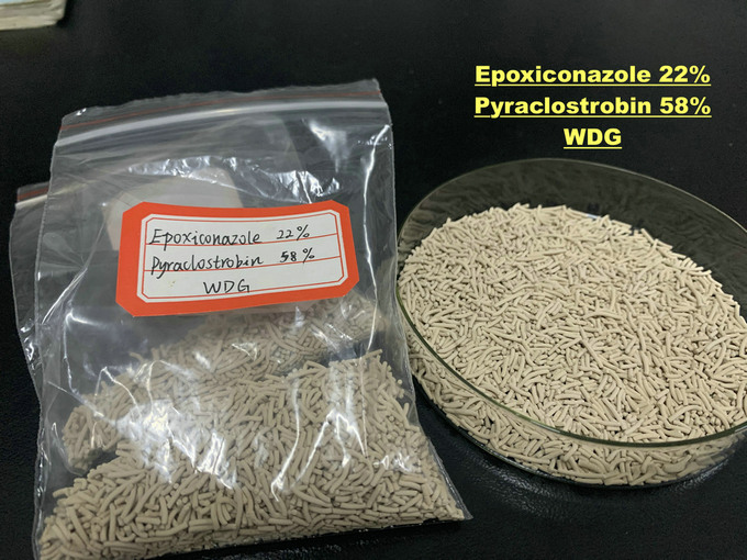 Epoxiconazole 22% + Pyraclostrobin 58% WG